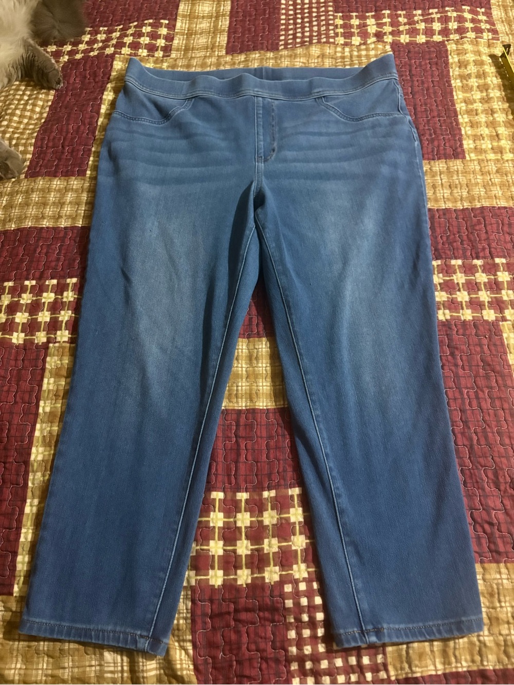 Time and Tru Women's Blue Pull-On Ankle Jeans